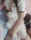 温州妹子娜娜